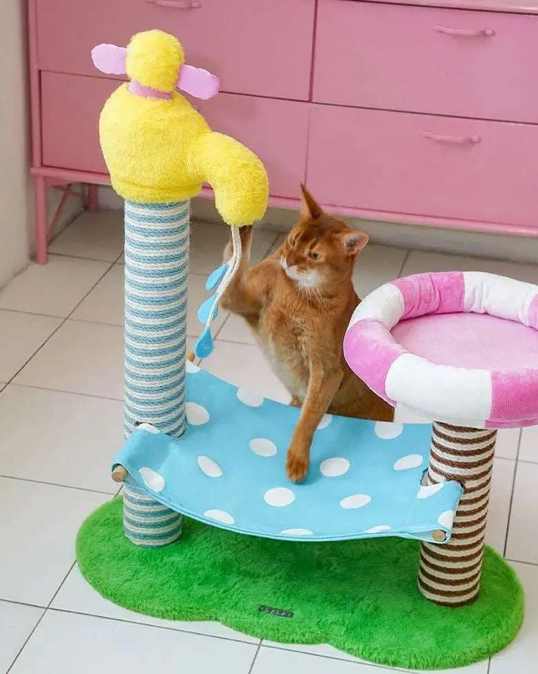 Cat Climbing Frame: Ultimate Bath & Play Playground for Your Pet