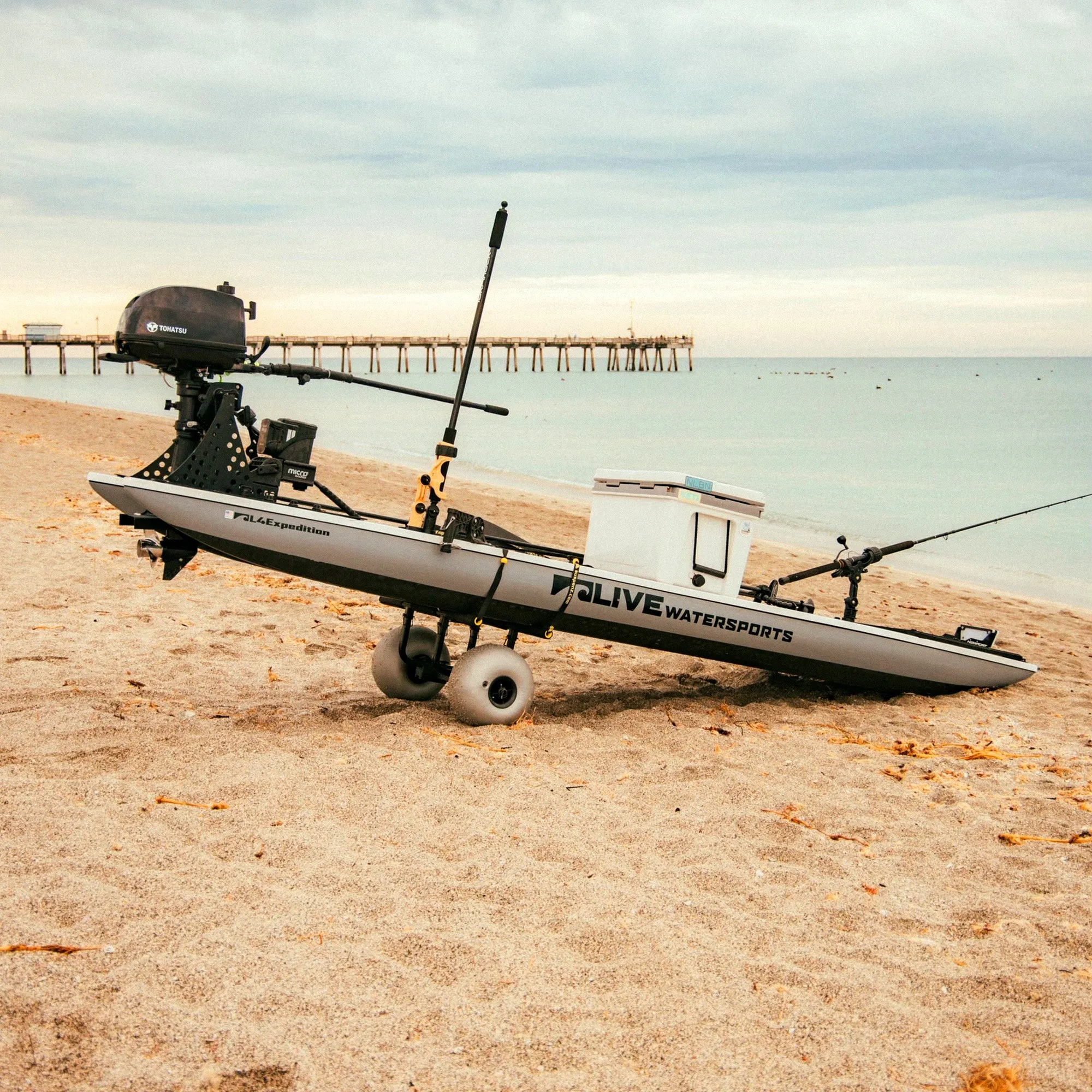 Catch-All Universal Beach Cart