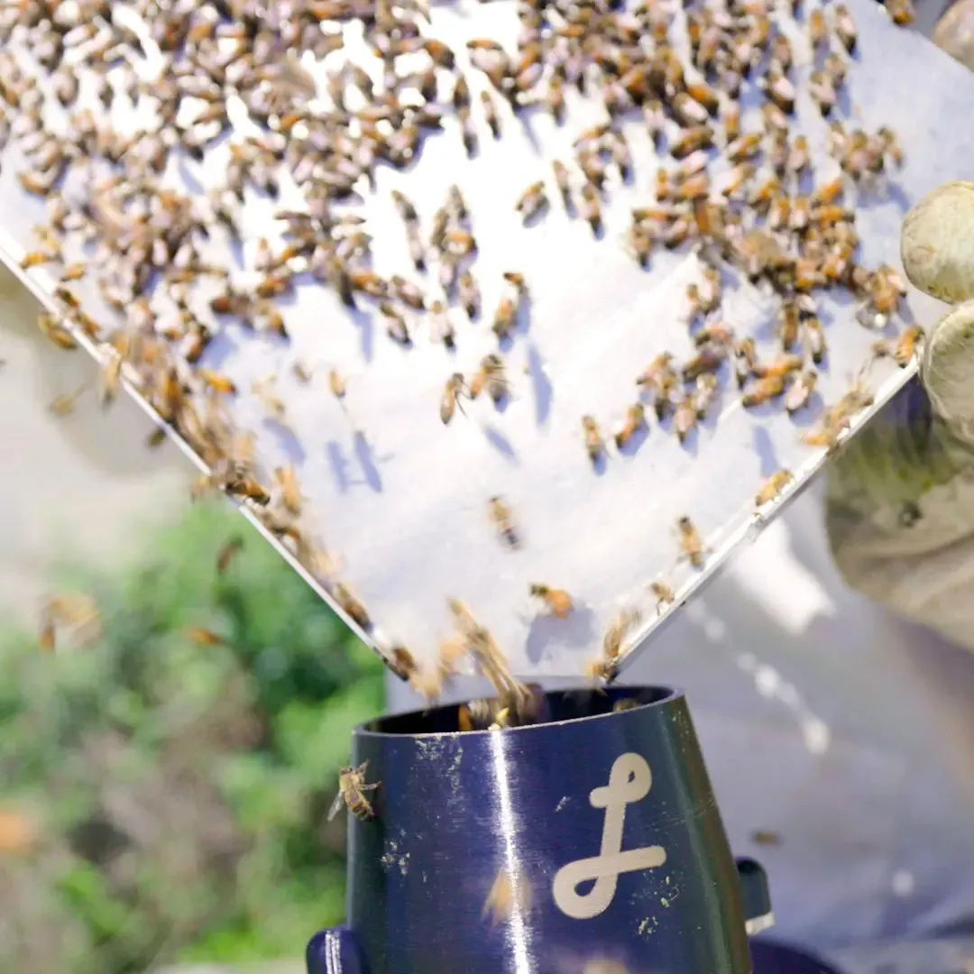 Honey Bee Sampling and Grafting Tray