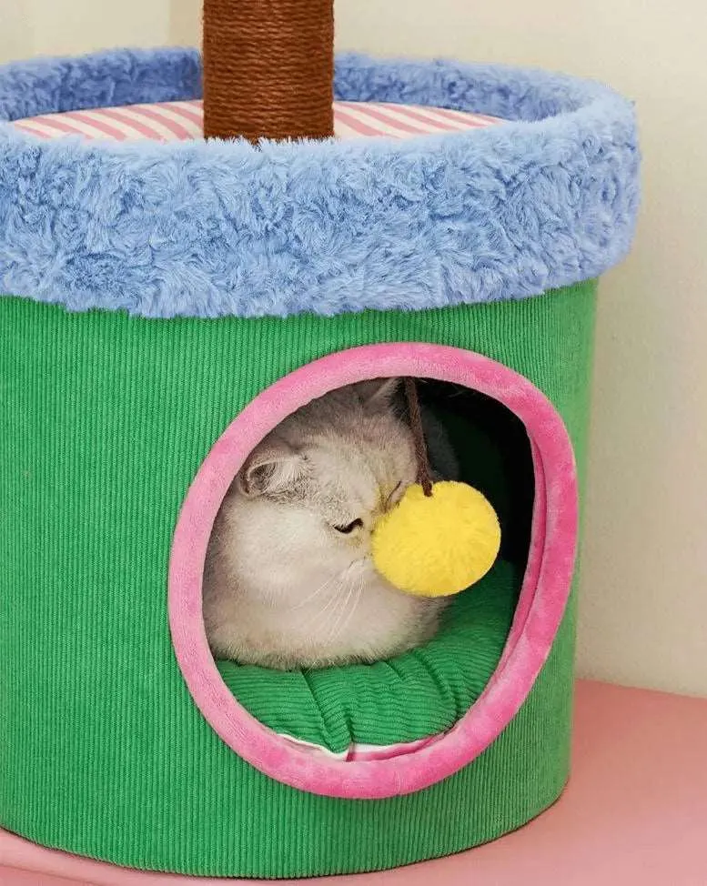 LOLLIPOP HOUSE – Cozy Cat House for Play, Rest, and Comfort