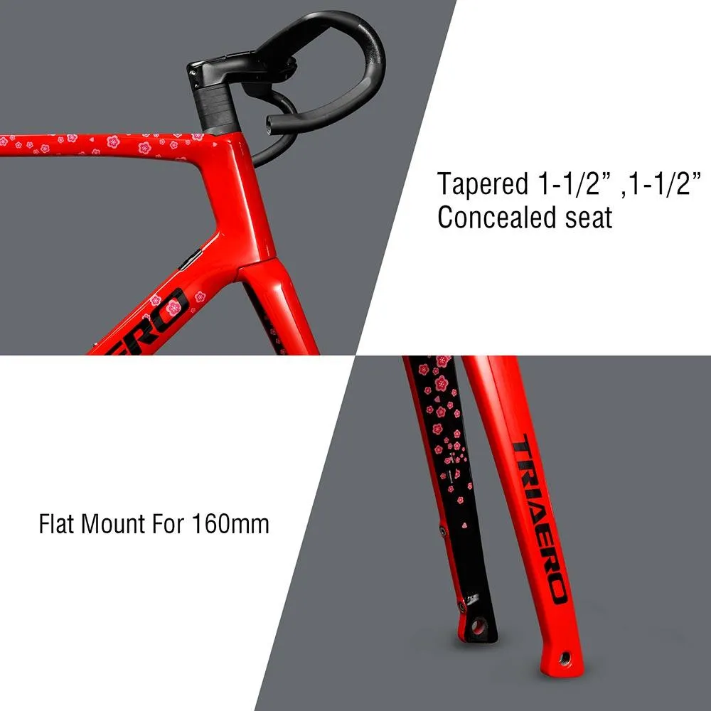 Road Bike Disc Frame A9