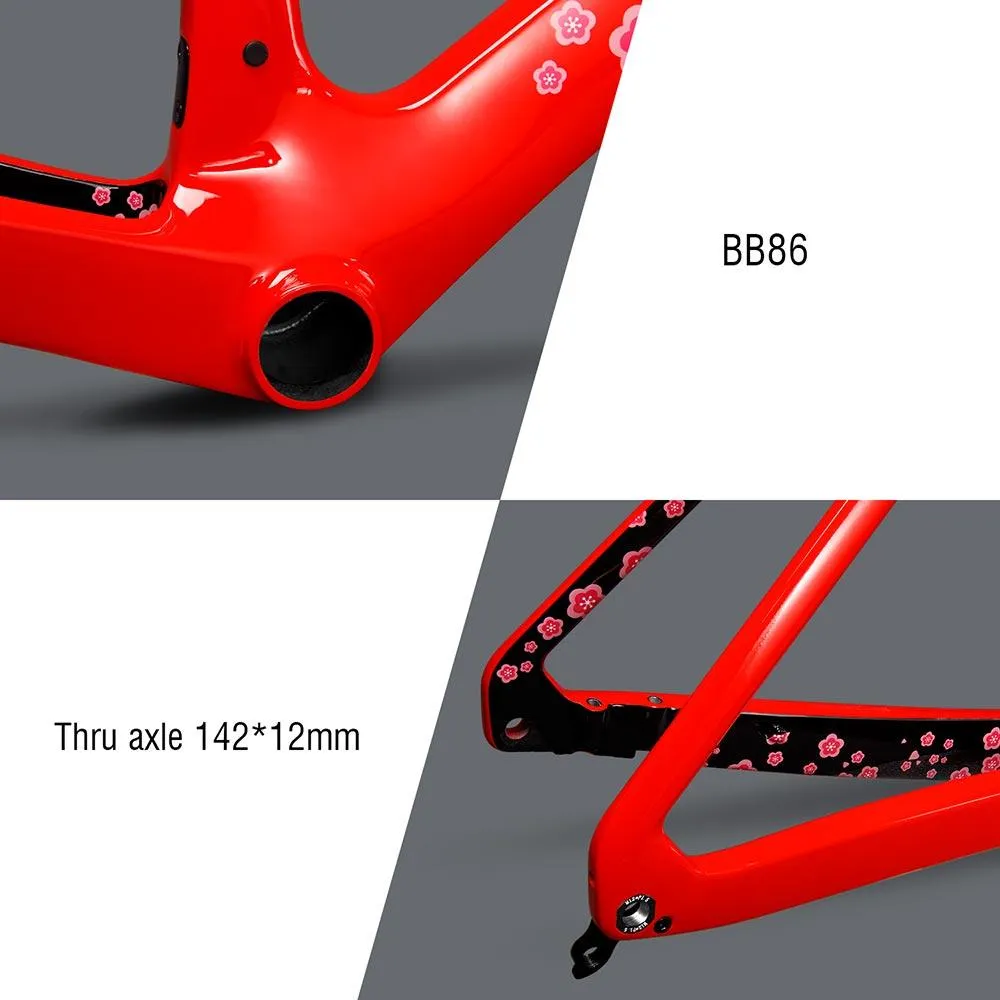 Road Bike Disc Frame A9