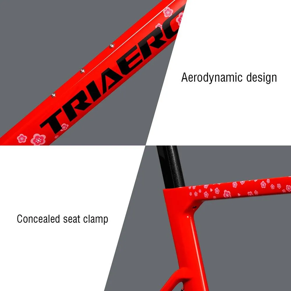 Road Bike Disc Frame A9