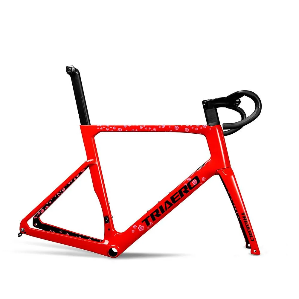 Road Bike Disc Frame A9