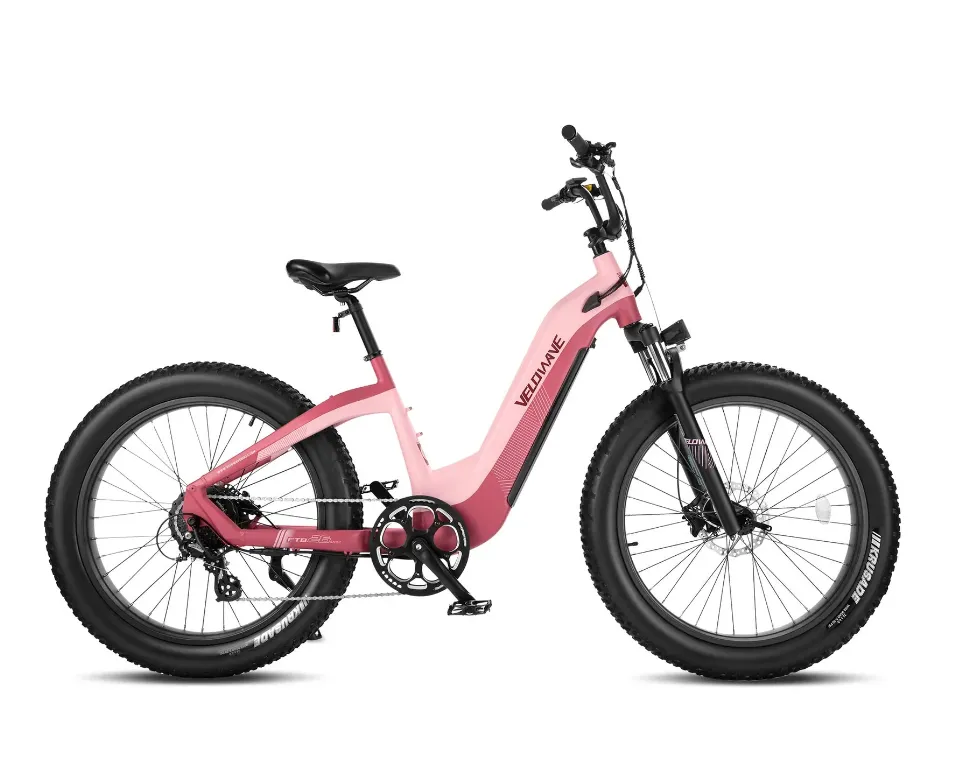 Velowave Grace 2.0 Step Thru Electric Bike