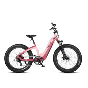 Velowave Grace Step Thru 750W 48V Fat Tire Commuter Electric Bike