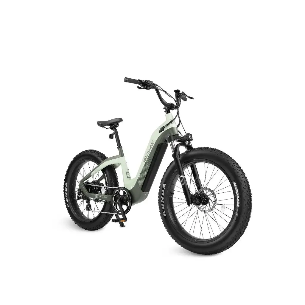 Velowave Grace Step Thru 750W 48V Fat Tire Commuter Electric Bike