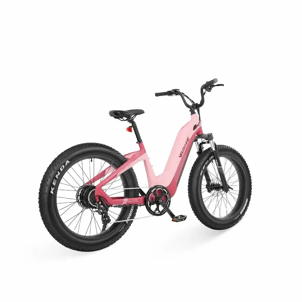 Velowave Grace Step Thru 750W 48V Fat Tire Commuter Electric Bike