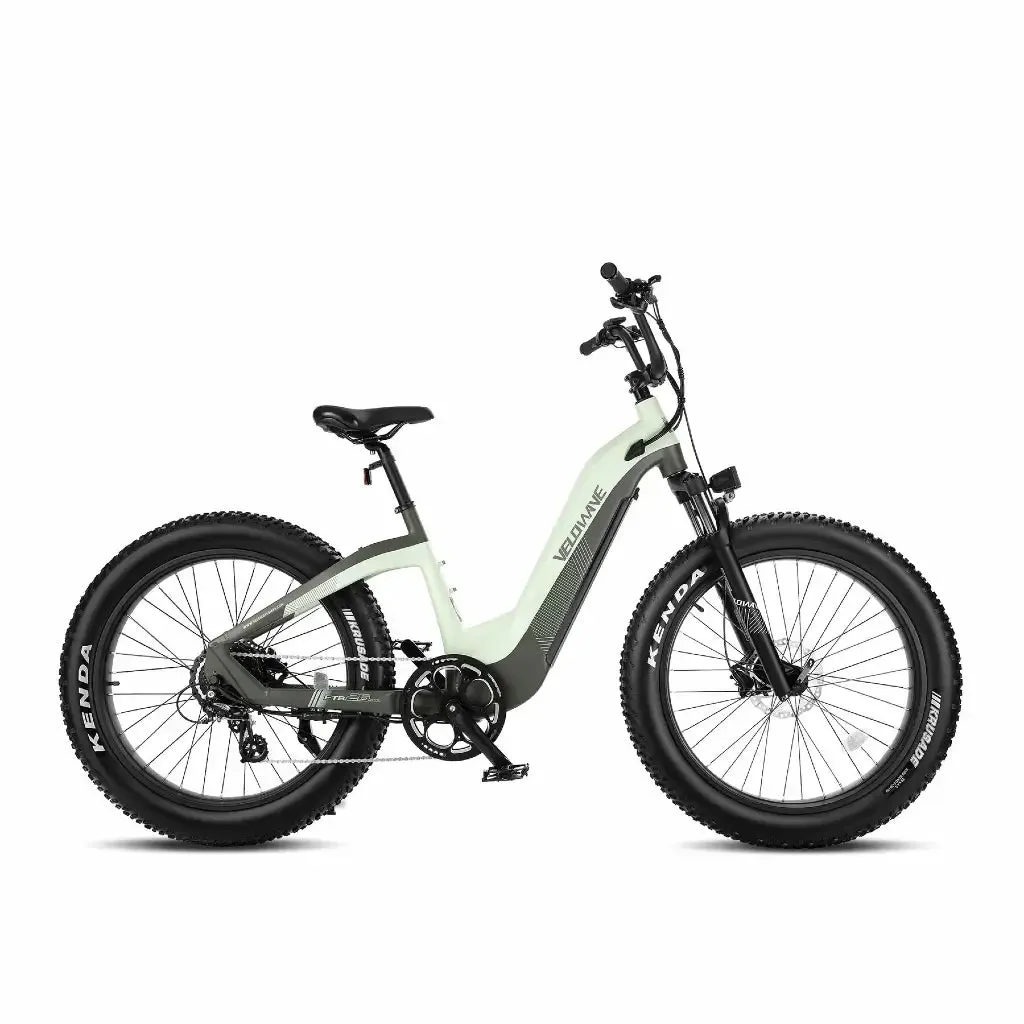 Velowave Grace Step Thru 750W 48V Fat Tire Commuter Electric Bike