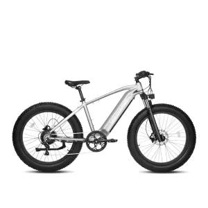 Velowave Ranger 750W 48V Fat Tire Electric Bike