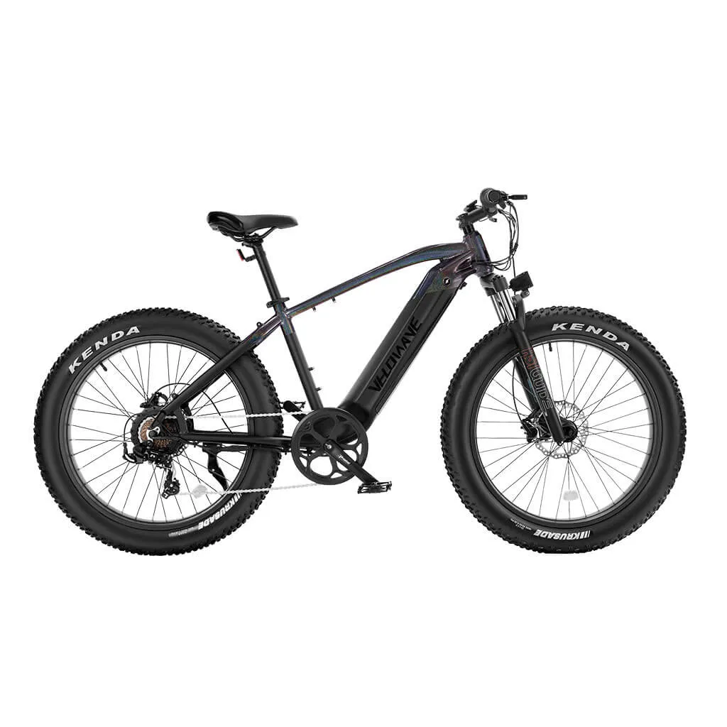 Velowave Ranger 750W 48V Fat Tire Electric Bike